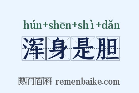 浑身是胆是什么意思的图片